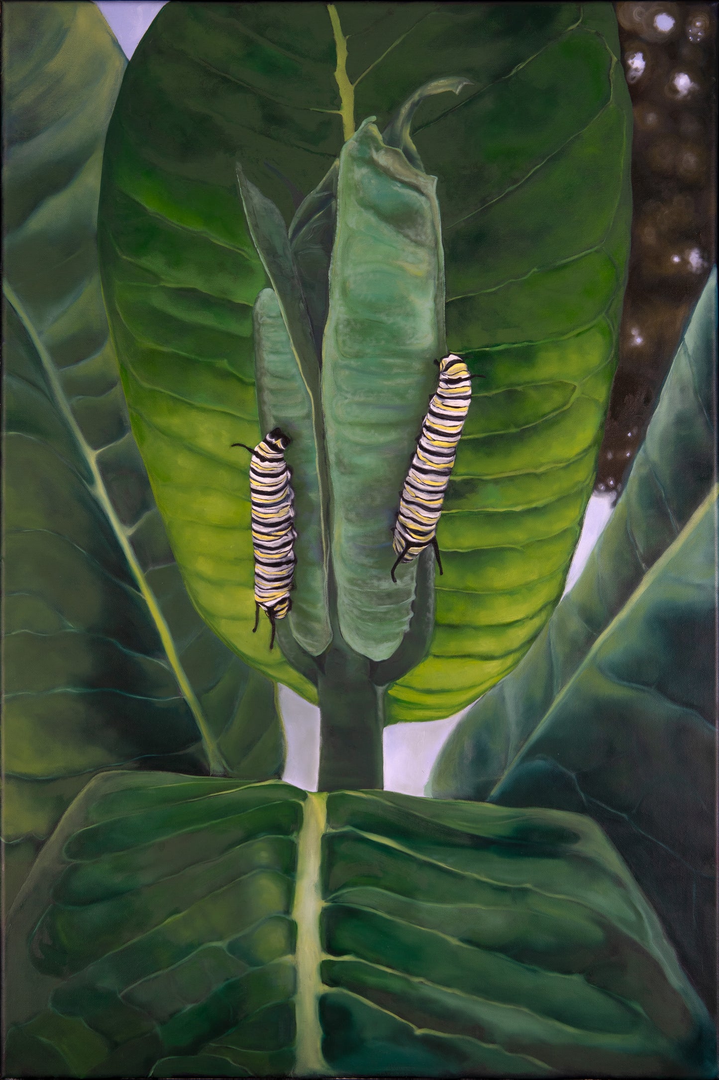 Mutualism No.11 - Let's Fly Away Fine Art Print