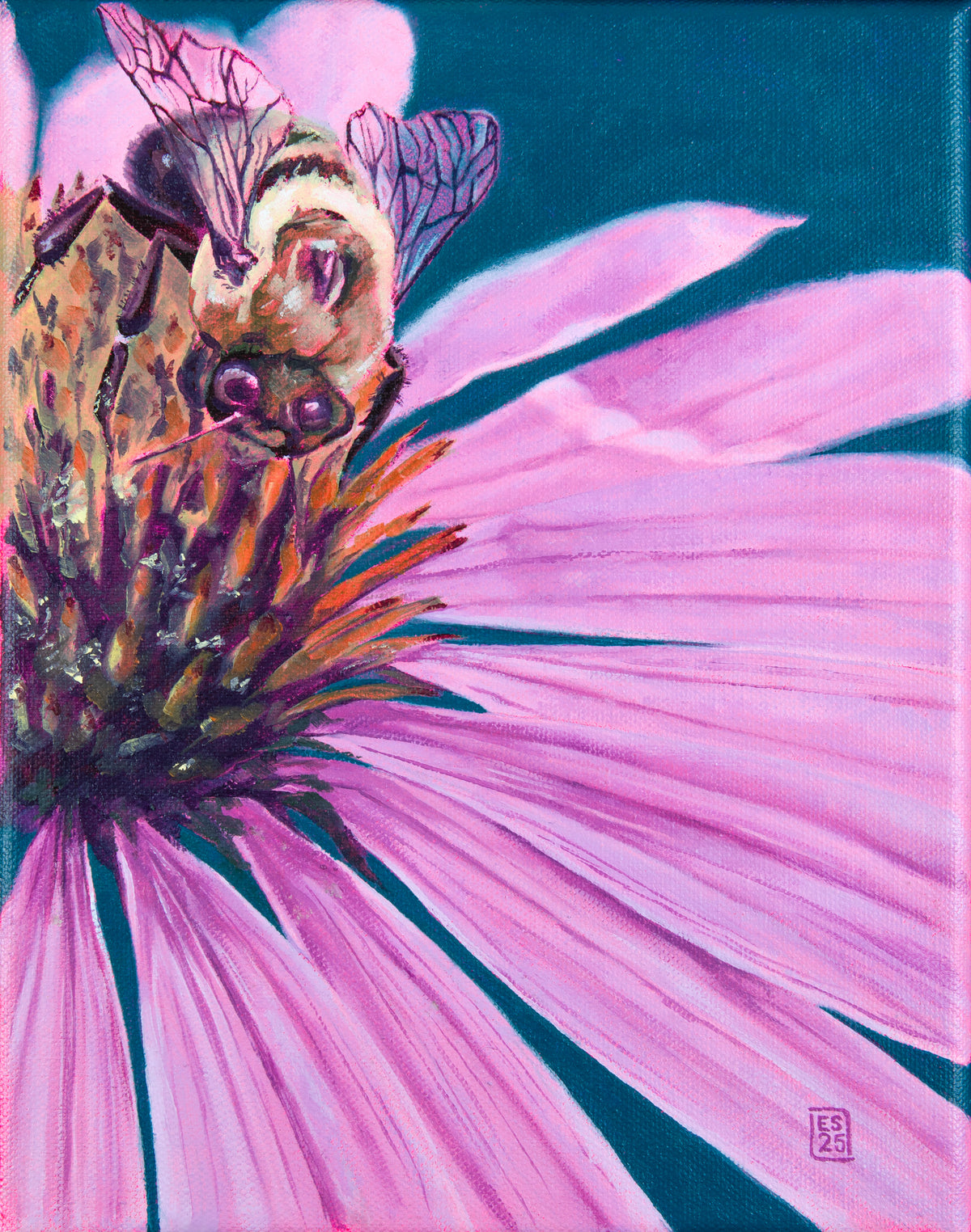 Mutualism No.7 - Bee on Coneflower, 2025