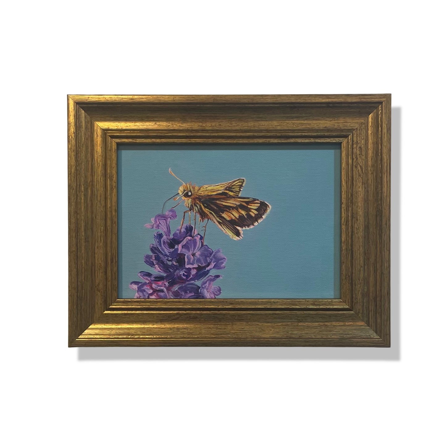 Mutualism No.5, Peck's Skipper, 2024