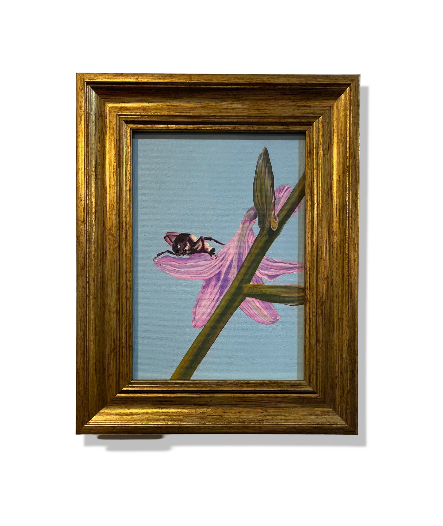 Mutualism No.6, Bee on Hosta, 2024