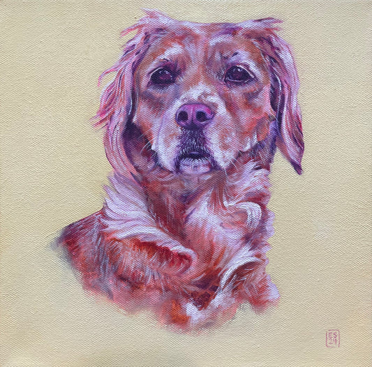 Image of a painting depicting a pet portrait of a small dog against a yellow background.