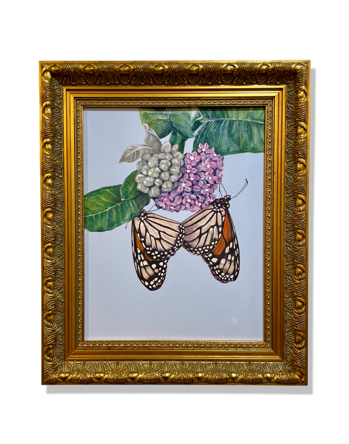 Mutualism No.2, Butterflies on Milkweed, 2024