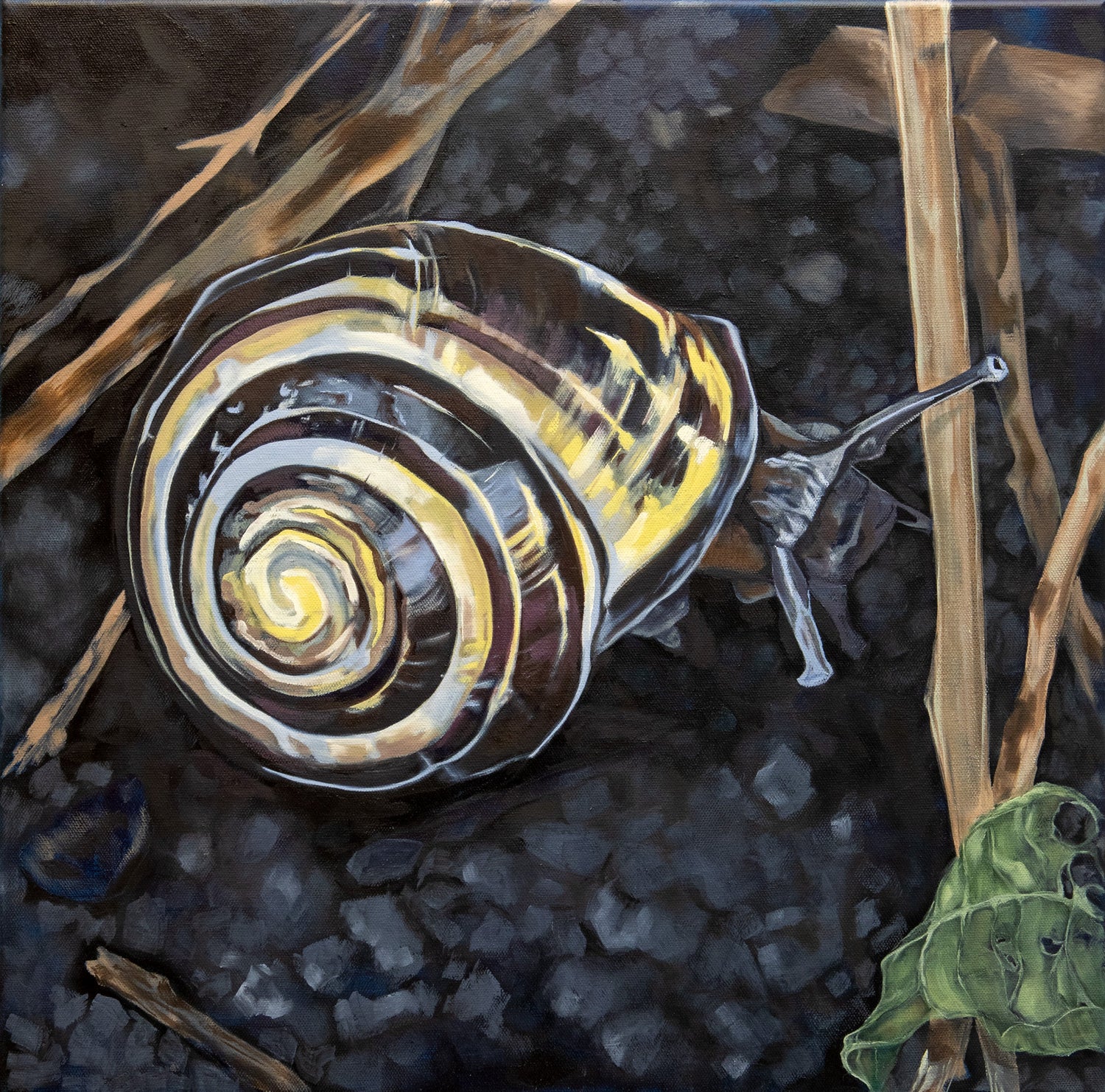 Big Helpers: Mutualism Magnified Fine Art Prints