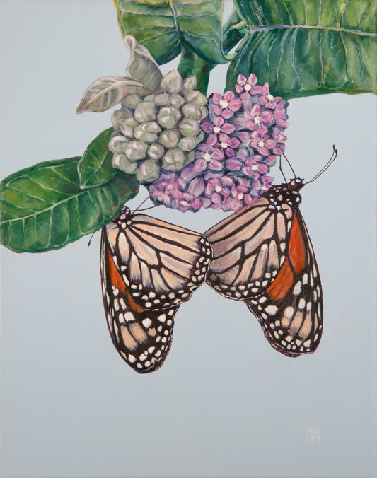 Mutualism No.4 - Monarchs on Milkweed, 2024