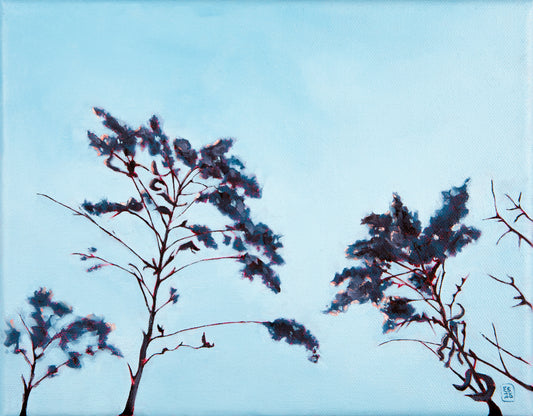 Mutualism No.8 - Goldenrod in Winter’s Sun, 2026