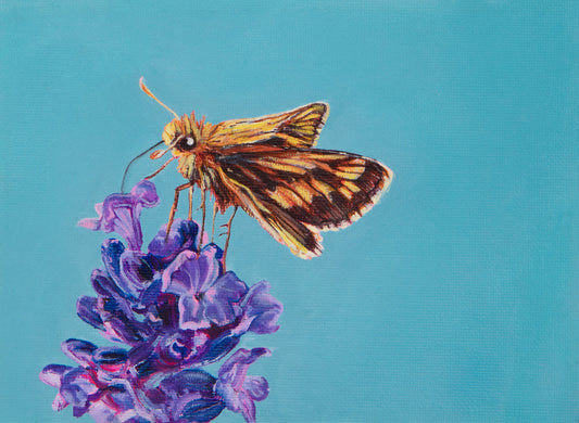 Mutualism No.5 - Peck’s Skipper, 2024