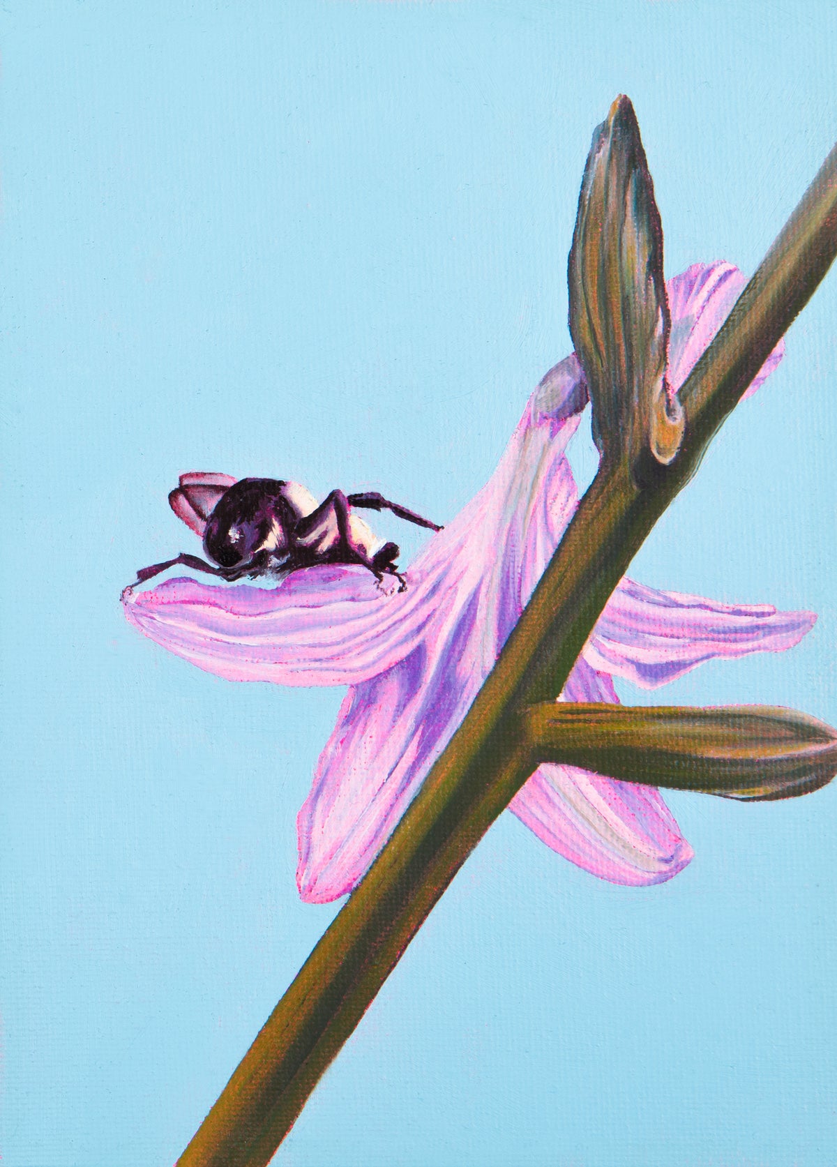 Mutualism No.6, Bumble on Hosta, 2024