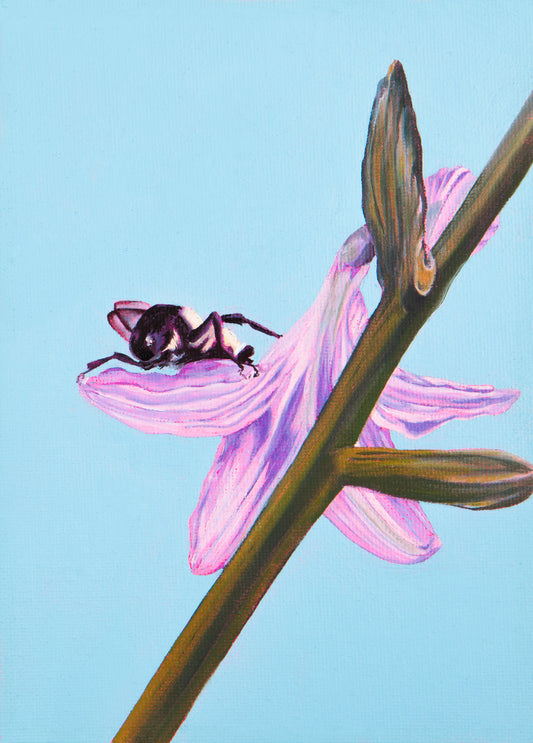 Mutualism No.6, Bumble on Hosta, 2024