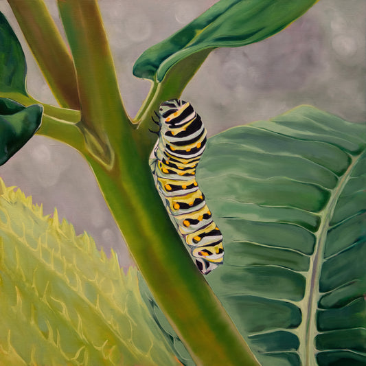 Mutualism No.20 - Swallowtail Seeking Shelter, 2026