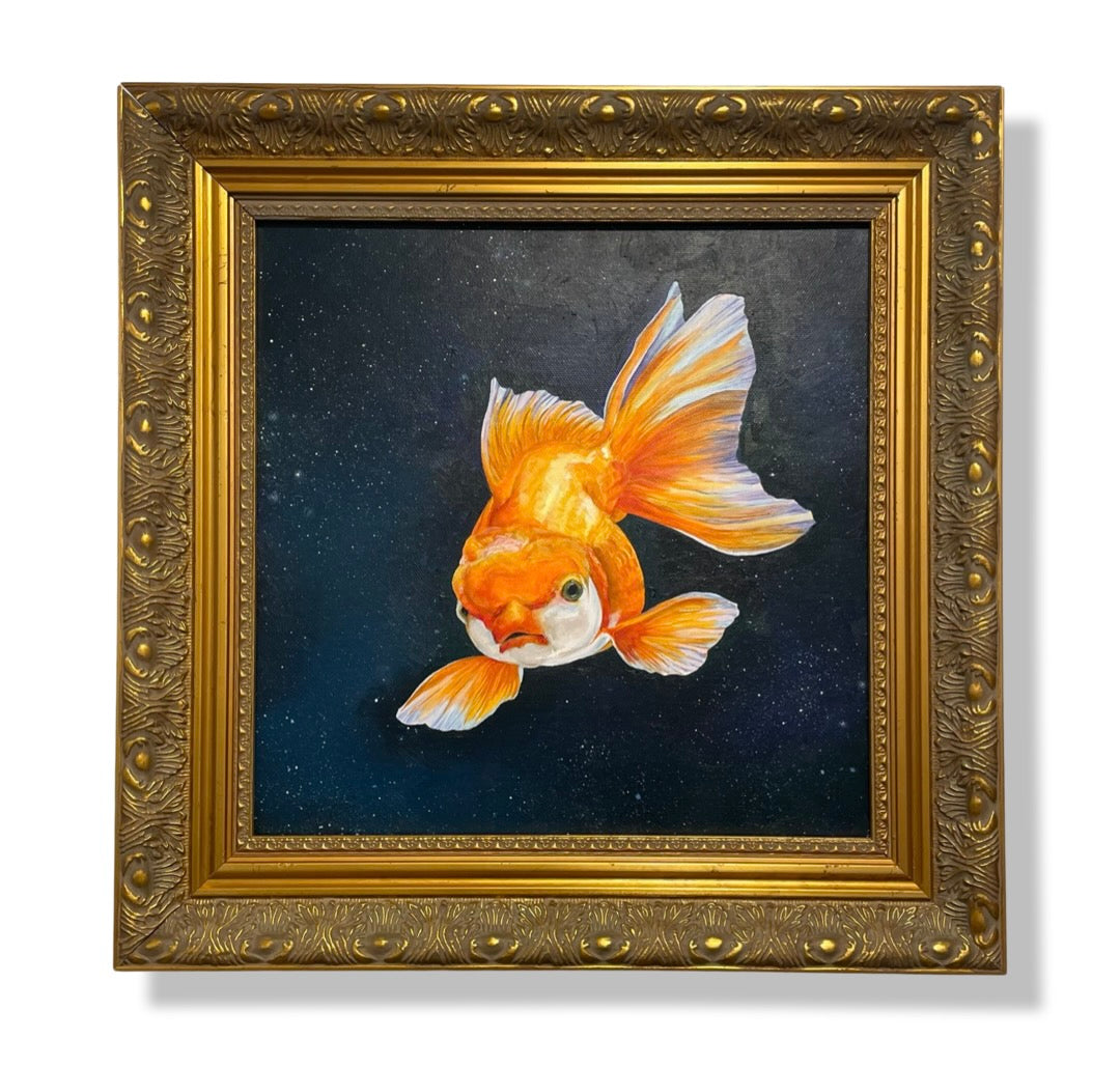 Goldfish In Space, 2022