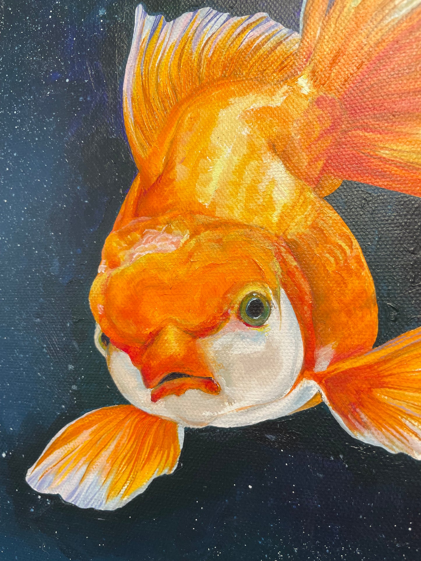 Goldfish In Space, 2022